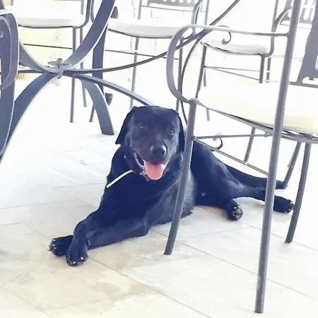 Gæstehus Marine Park Casa Vacanze Scifo