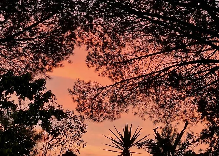 Marine Park בית הארחה