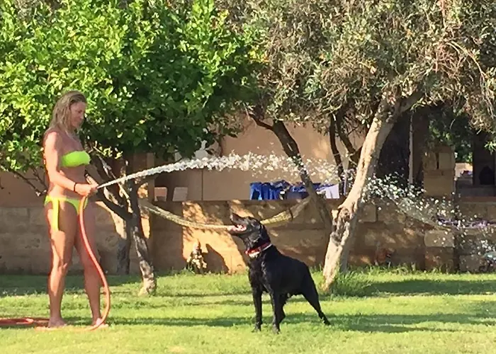 בית הארחה Marine Park 3*