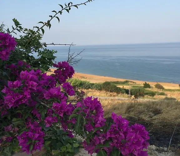 בית הארחה Marine Park