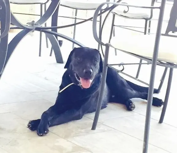 בית הארחה Marine Park Scifo