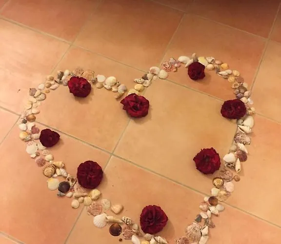 Marine Park בית הארחה